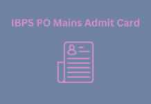 IBPS PO Mains Admit Card 2023: Out, Download Phase II Call Letter IBPS PO Mains Admit Card